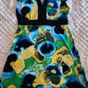 Womens dress size Large